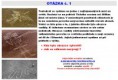 /album/fotogalerie-otazka-1-17-18/nazca1-jpg/
